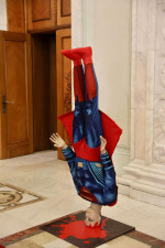 superman parlament4