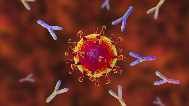 anticorpi care ataca proteina spike a coronavirusului Sars-cov-2