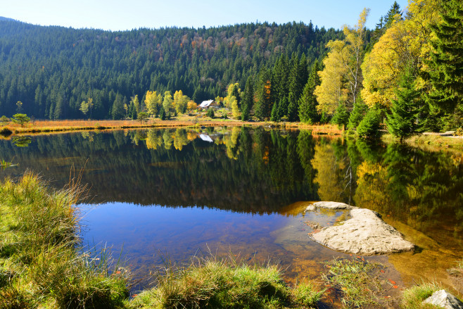 Parcul Național Pădurea Bavareză, Germania