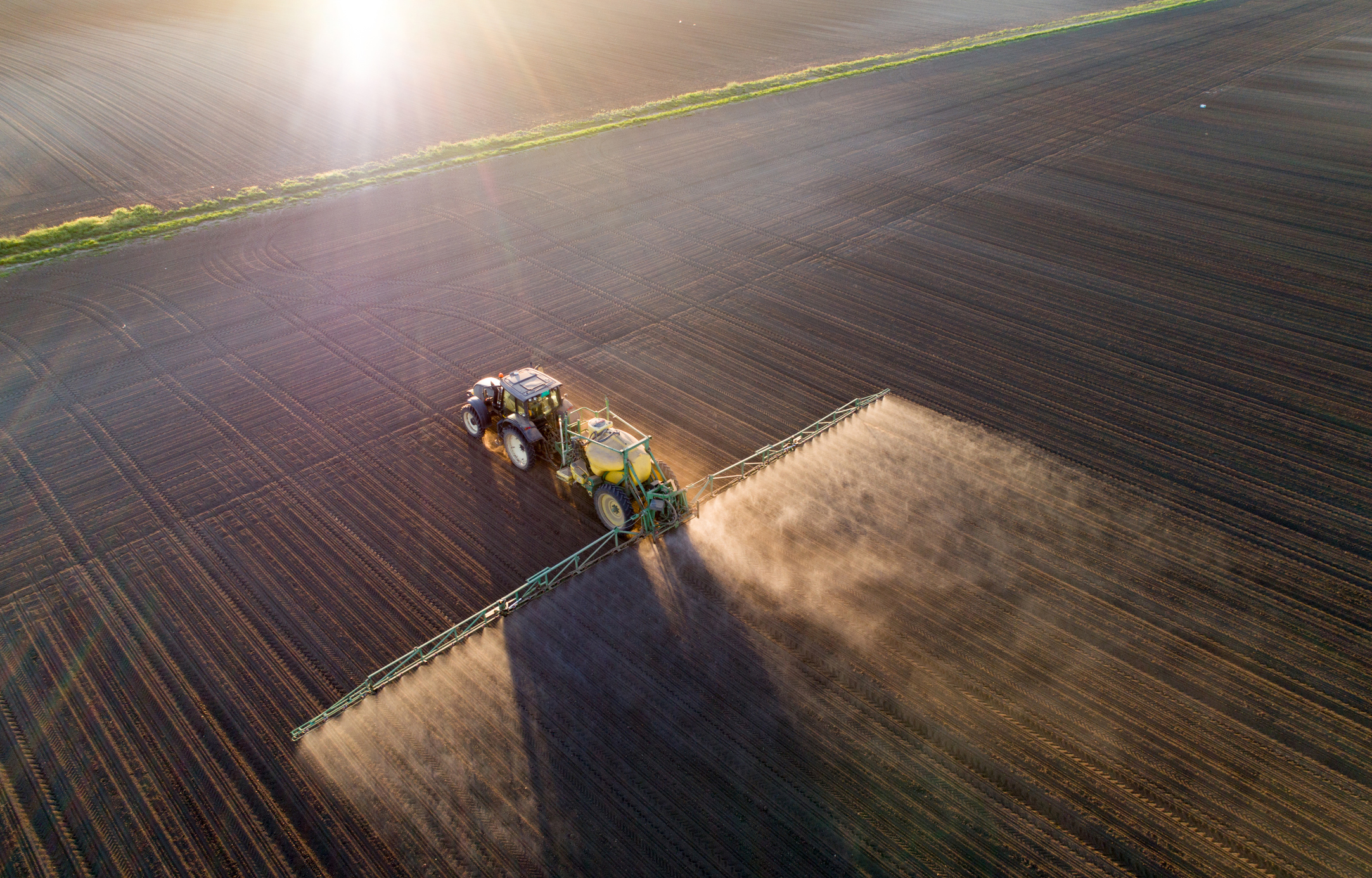 Politico: „Războiul Rece” al alimentelor între SUA și UE ar putea duce la scumpirea mâncării și chiar la foamete la nivel global