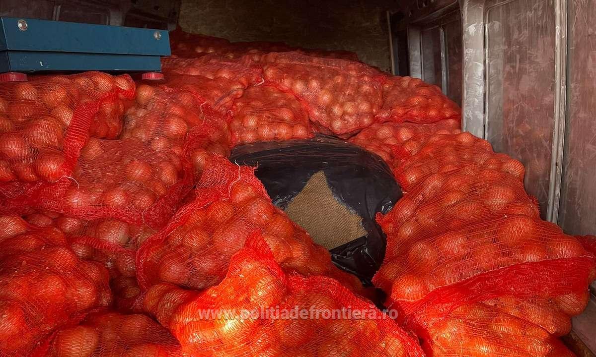 Un bărbat a încercat să introducă în țară 800 de kilograme de tutun ascunse într-un microbuz care transporta ceapă din Bulgaria
