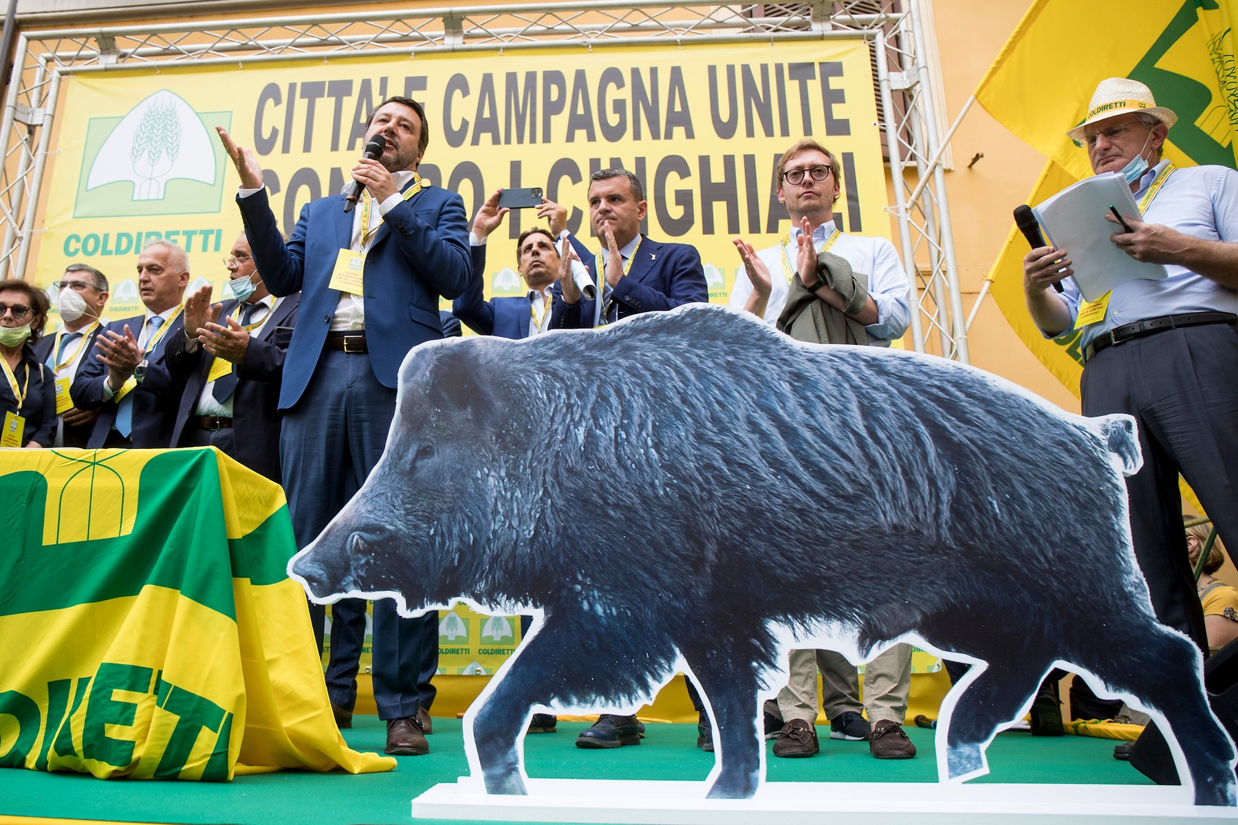 Four candidates are fighting for Rome's mayor's office.  How the wild boars came to decide the fate of the elections thumbnail