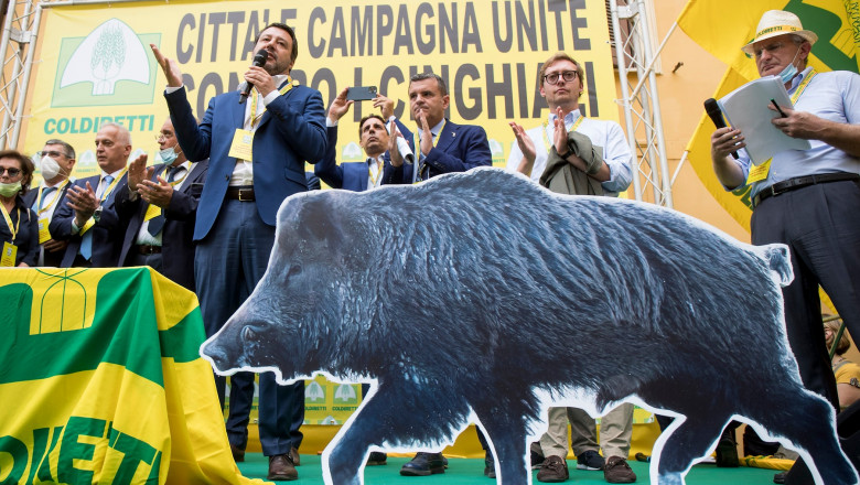 Roma, Coldiretti manifesta contro l'invasione dei cinghiali