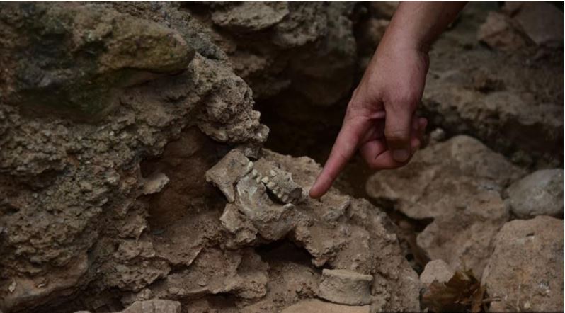 Schelete vechi de 10.000 de ani, descoperite într-o peşteră din Malaezia
