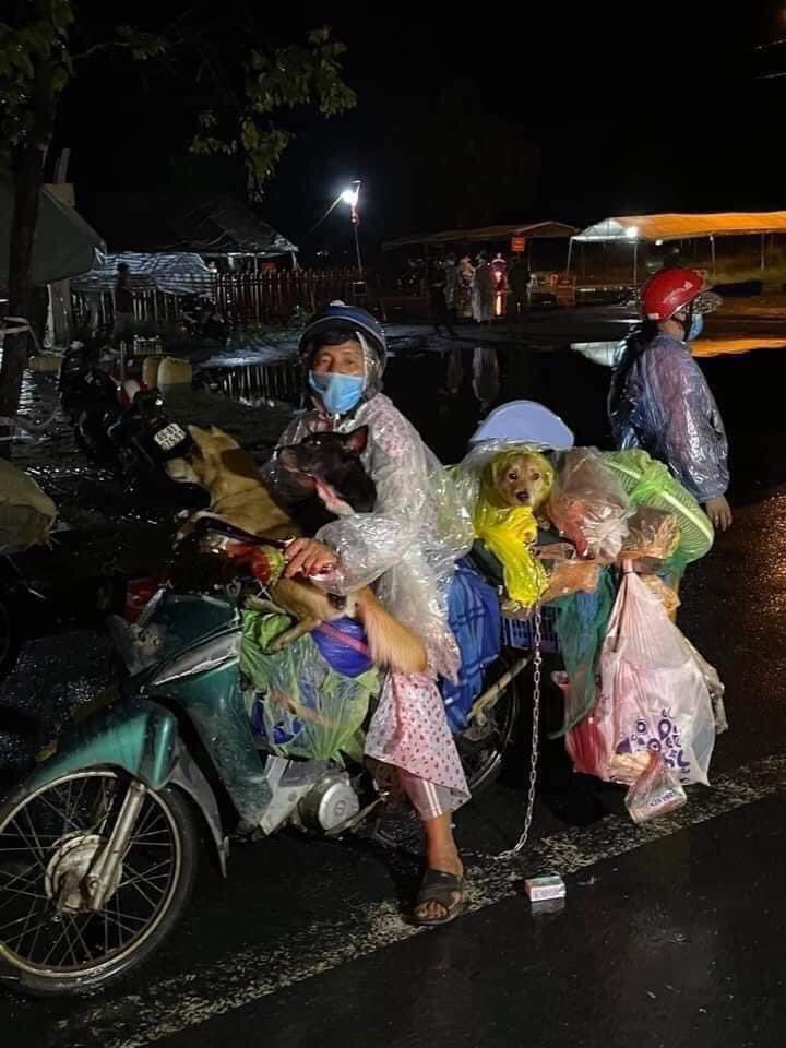 Revoltă în Vietnam după ce 13 câini au fost uciși pentru că stăpânii lor aveau Covid-19