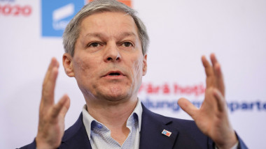 Dacia Cioloș face declarații.