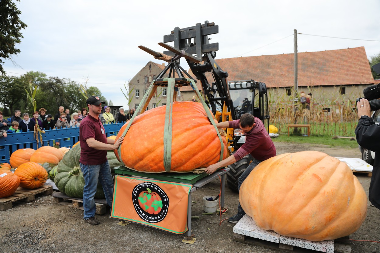 13th Open Saxon Pumpkin Weighing Championship, Ludwigsdorf, Germany - 19 Sep 2021
