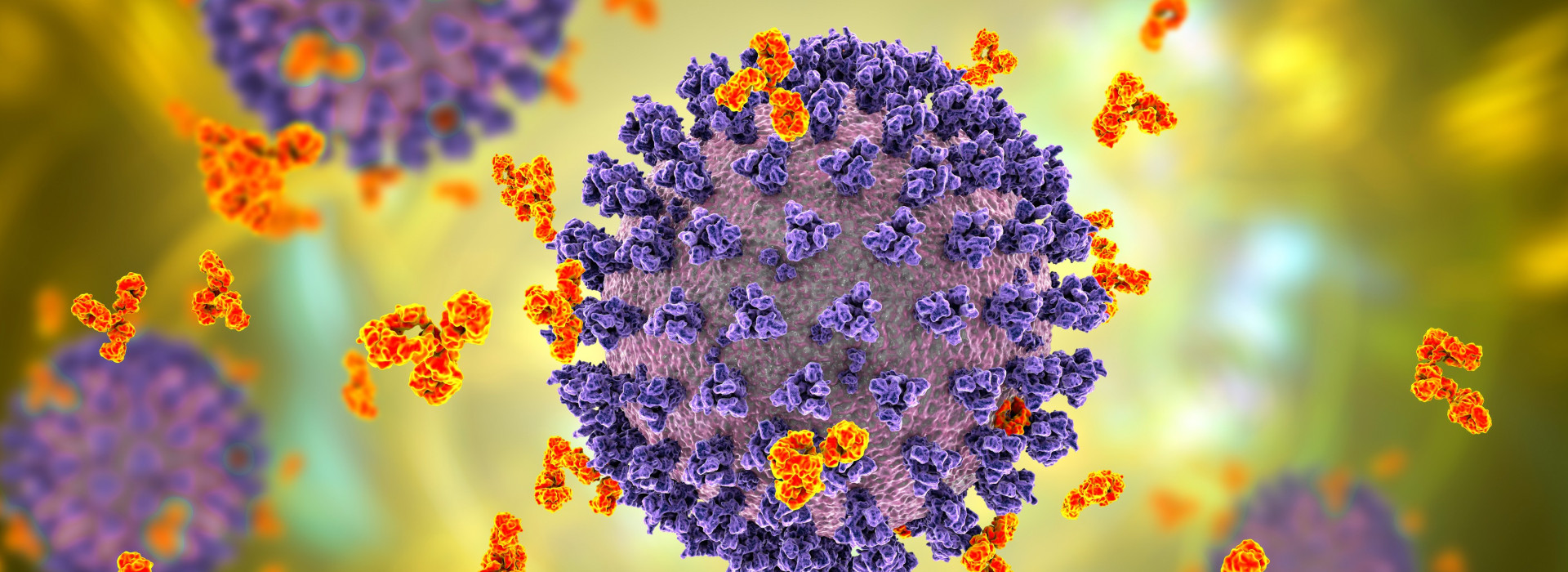 Antibodies responding to Covid-19 coronavirus, illustration