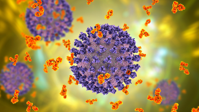 imagine cu caracter ilustrativ virusul sars-cov-2