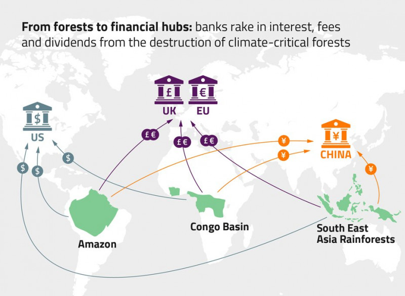 forest_debt_map-21_online-01.width-929