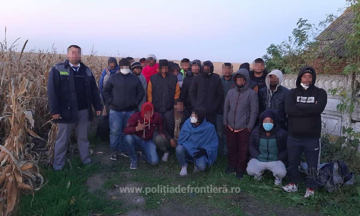 26 de solicitanți de azil în România au fost găsiți de polițiști ascunși într-un lan de porumb lângă granița cu Ungaria