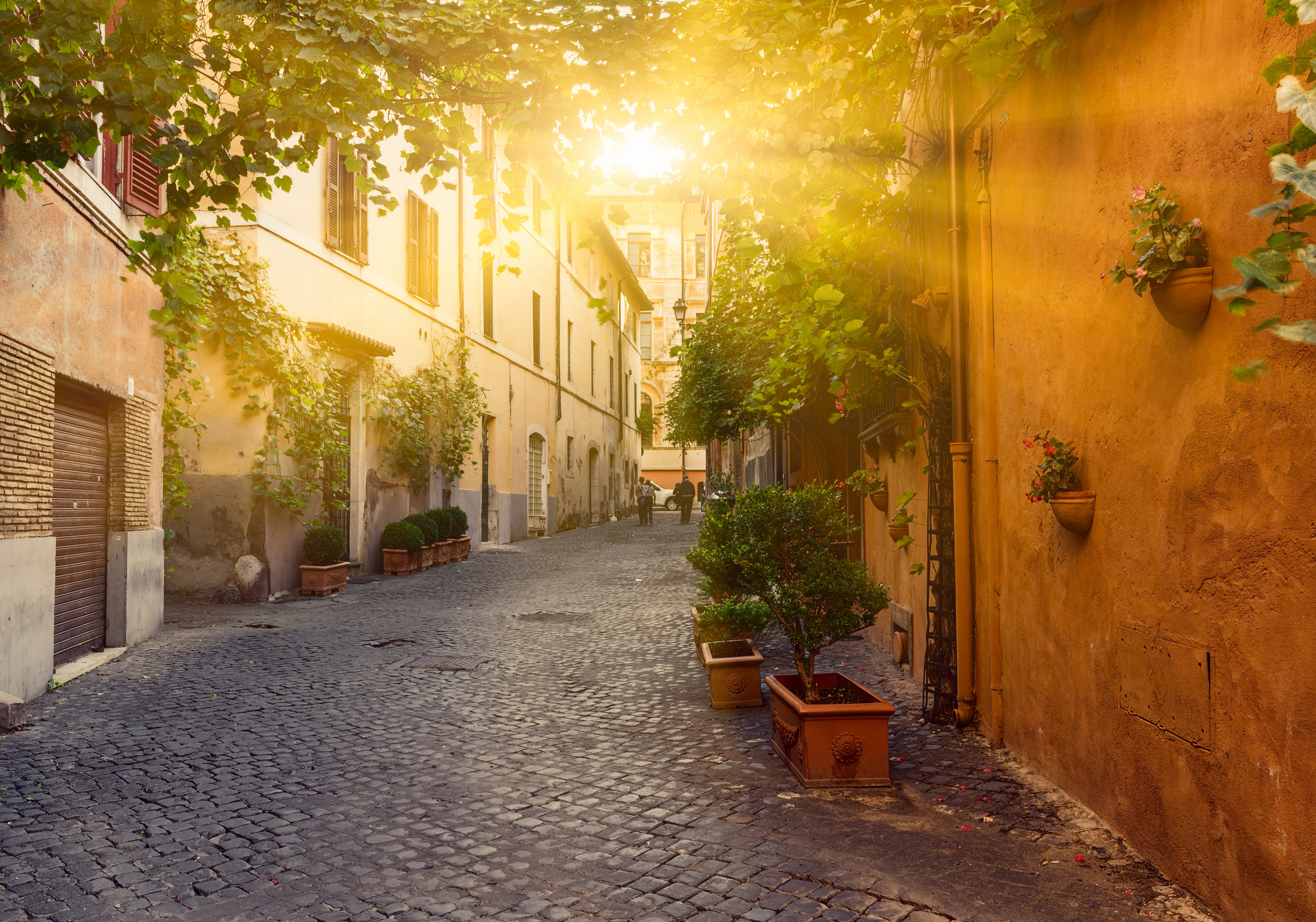 Vilă din Roma cu o pictură murală de 310 milioane € în interior, scoasă la licitație. Prețul de pornire și condiția pusă la vânzare