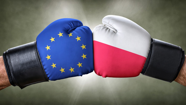 mânuși de box UE și Polonia