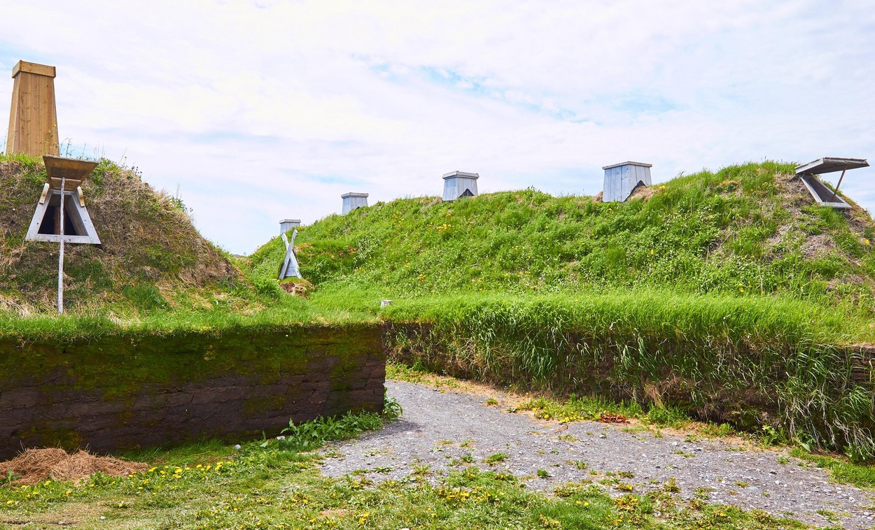 Vikingii au ajuns în America în 1021, cu 500 de ani înaintea lui Cristofor Columb. Descoperirea făcută datorită unei explozii solare