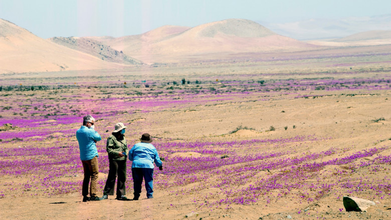 Desertul Atacama