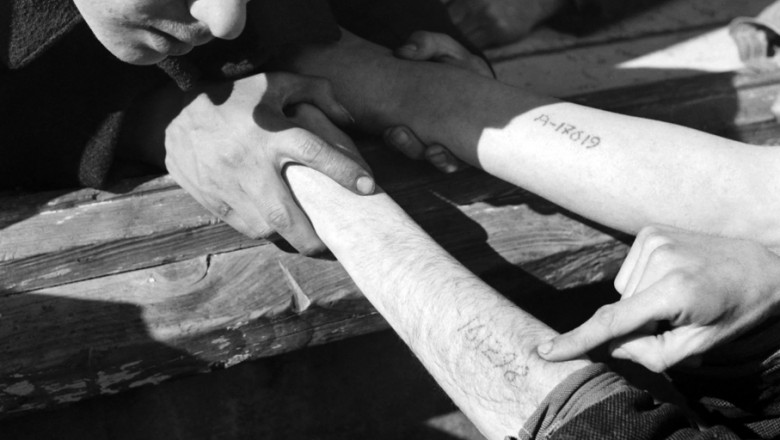 Mâini ale unor prizonieri de la Auschwitz cu numere tatuate.