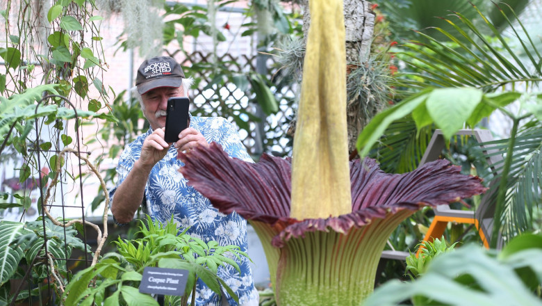 un bărbat cu camasa bleu și sapca fotografiază o plantă