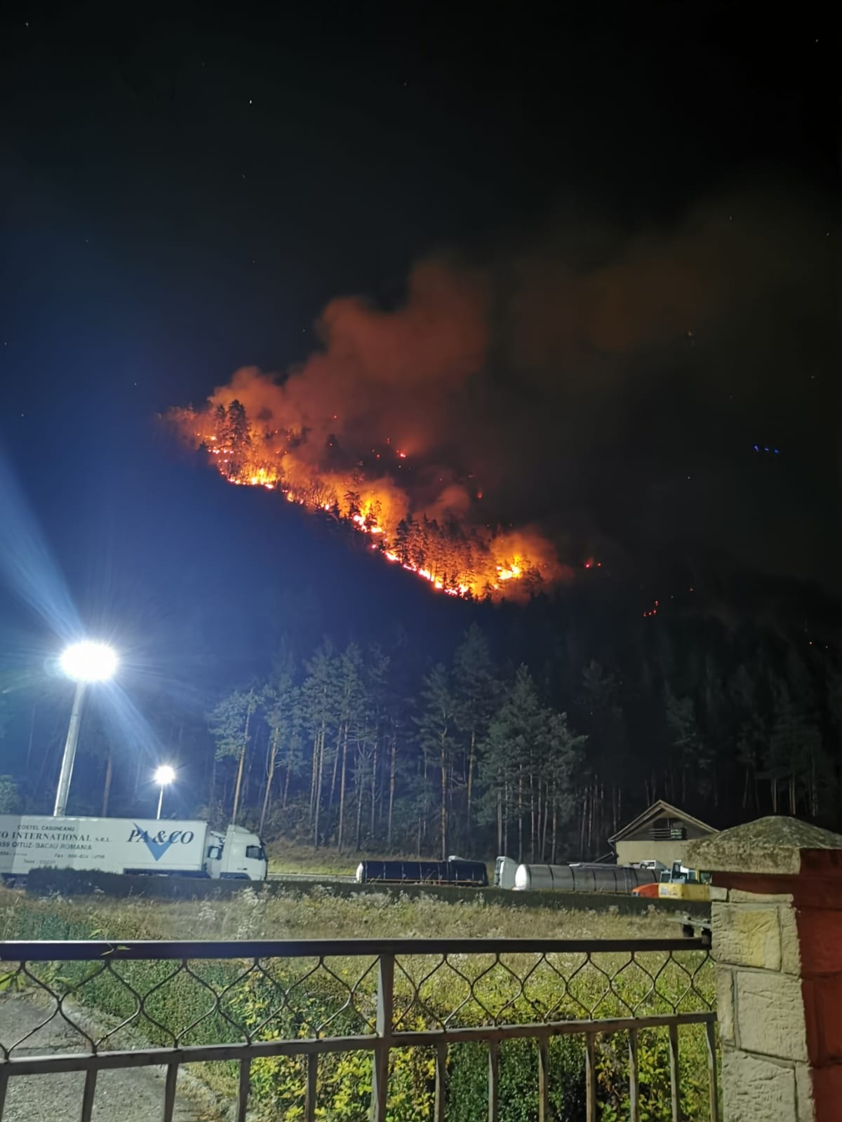Pădurea de la Oituz arde de cinci zile. Pompierii nu pot controla incendiul care s-a extins pe 28 de hectare