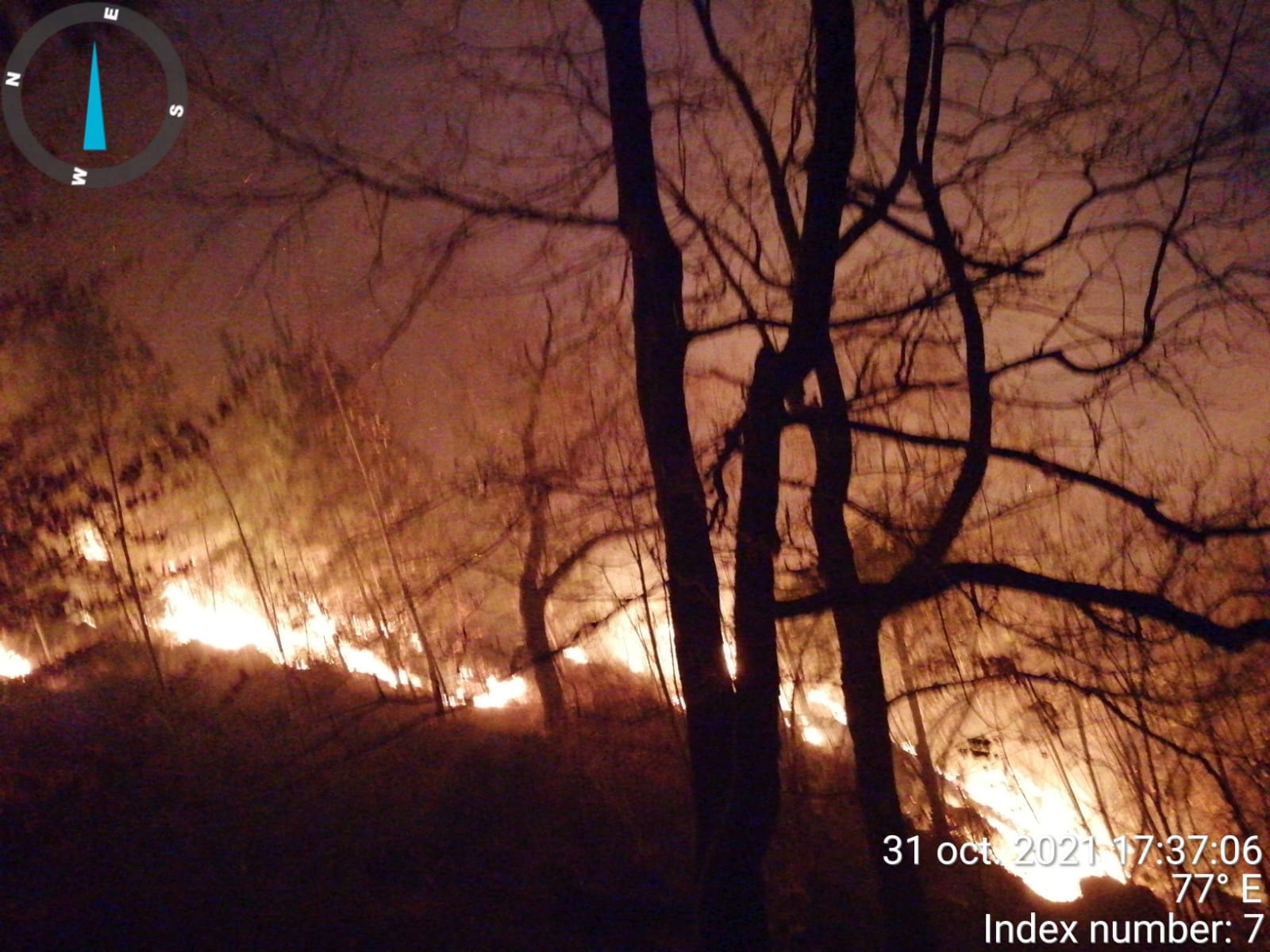 Incendiul din Oituz a fost stins după 9 zile. Flăcările au distrus 35 de hectare de pădure