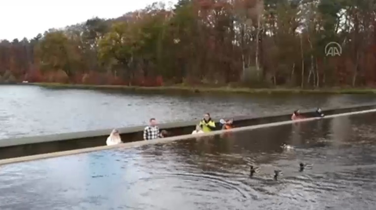 Cea mai spectaculoasă alee se află în Belgia și trece prin mijlocul unui lac