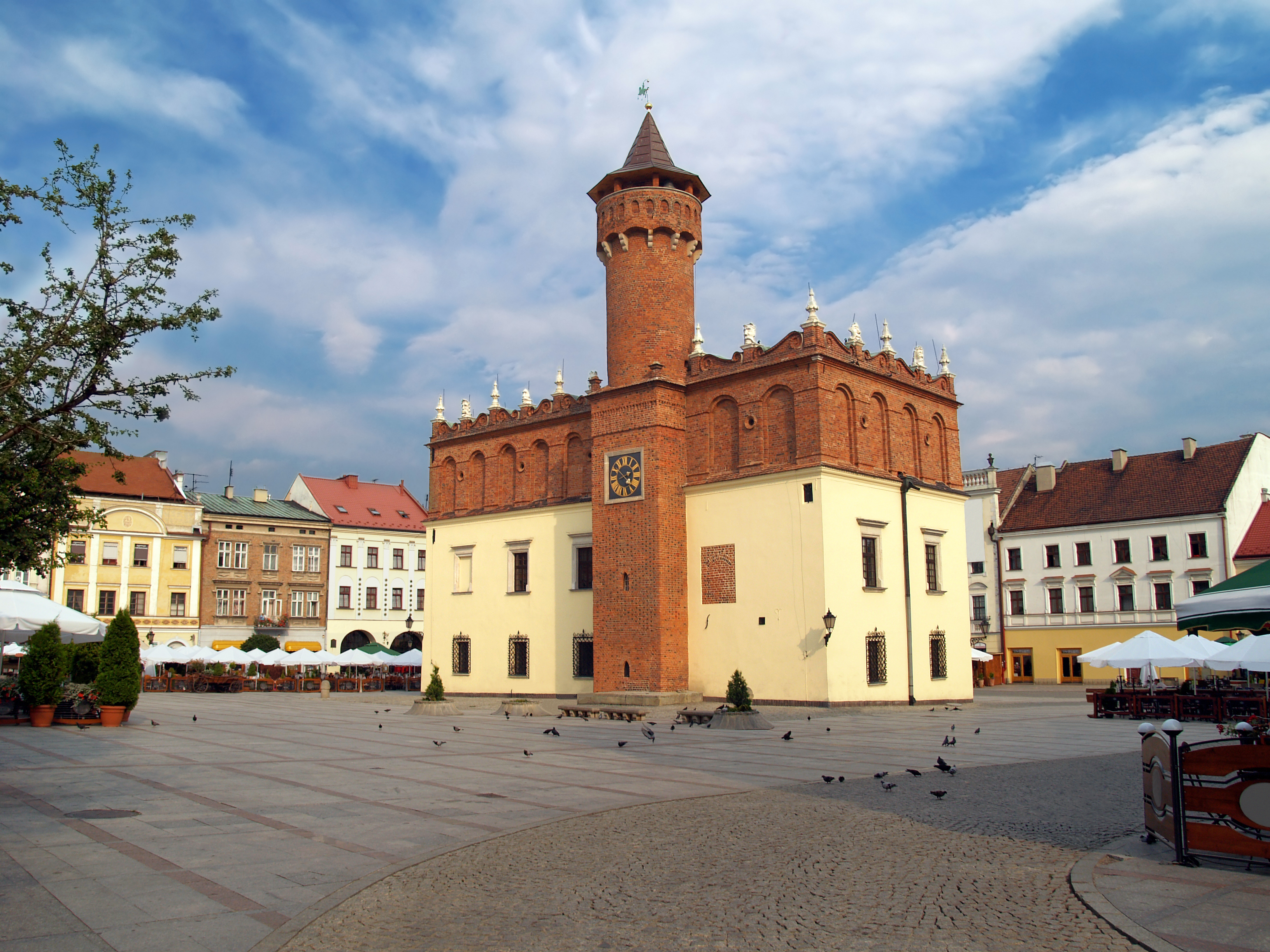 Tarnów, Polonia