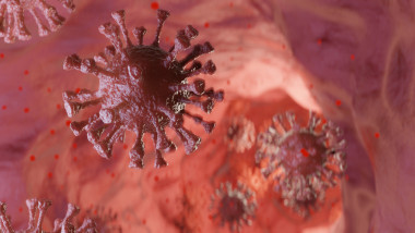 ilustratie coronavirusi in vasele de sange