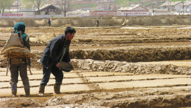 oameni in coreea de nord muncesc pe camp