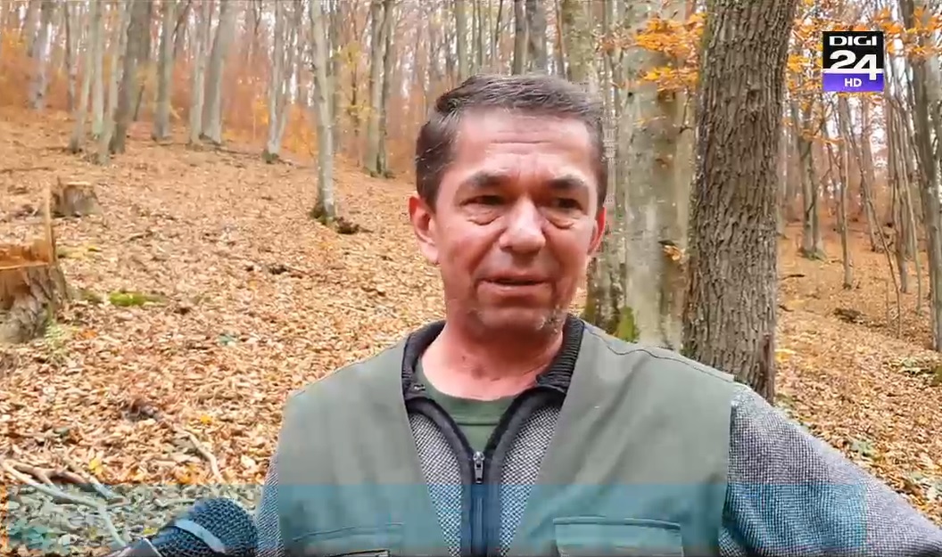 Pădurar: „Am fost bătut cu parii în cap, am avut concediu medical de 60 de zile. Dacă eram dotați cu arme, hoții aveau o reținere”