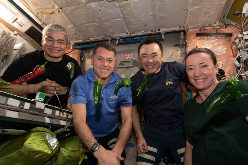 International Space Station Crew Eats Tacos for Experiment