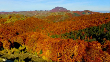 peisaj de toamna la munte cu copaci in mai multe culori