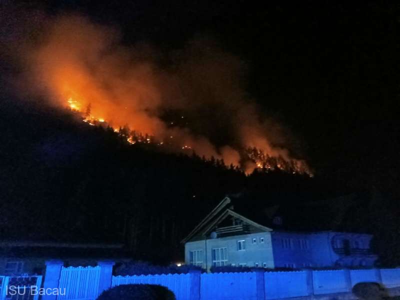 O pădure din Oituz arde de 14 ore. Intervenția pompierilor e dificilă, în zonă e muniție rămasă neexplodată din Primul Război Mondial