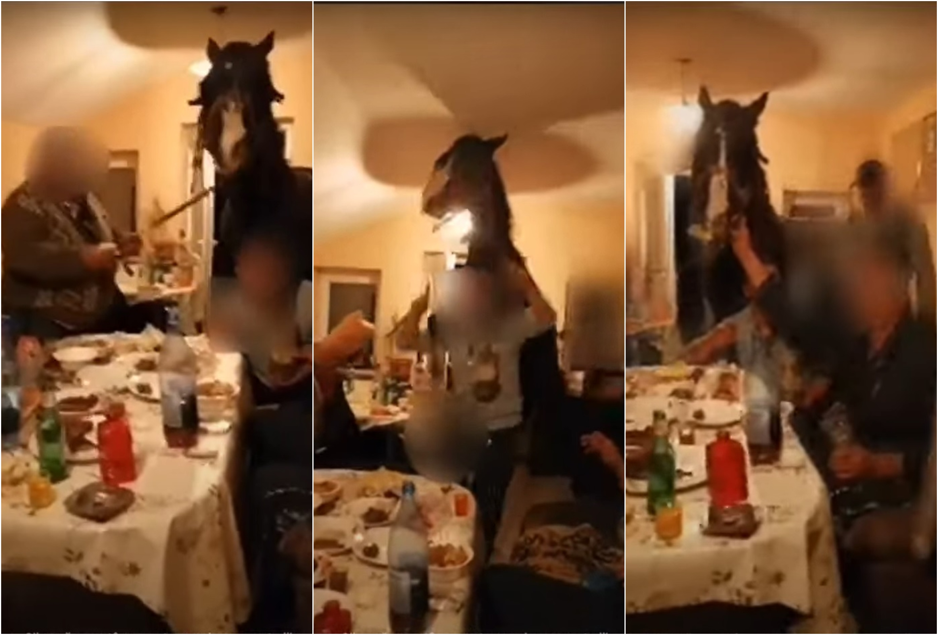 VIDEO Un cal la petrecere în sufragerie. Opt bărbați au fost amendați după ce s-au filmat cu animalul la masă