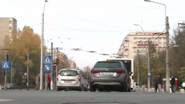 Pitoni și mașini pe o stradă din București.