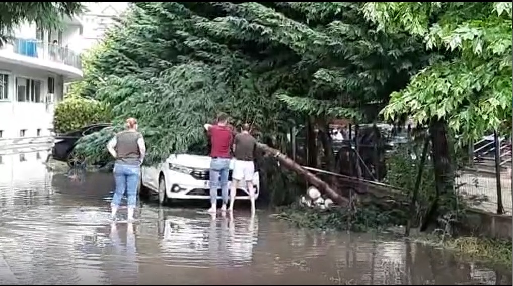 UPDATE. Cod portocaliu pentru București, deja afectat de o furtună puternică: semafoare dărâmate, copaci doborâți, trafic dat peste cap