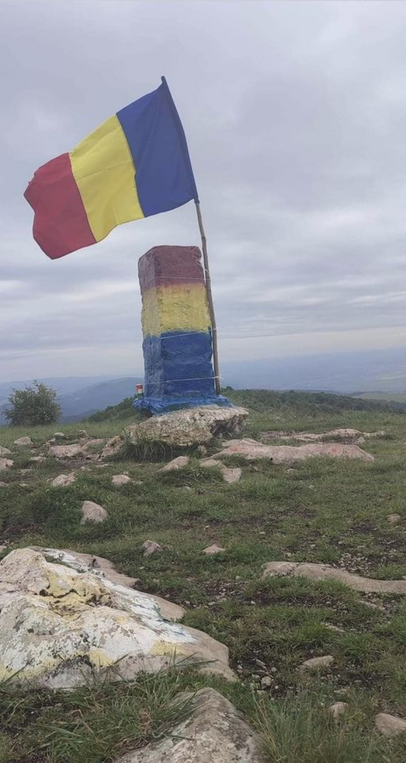 borna piatra secuiului culori romania - fb george simion