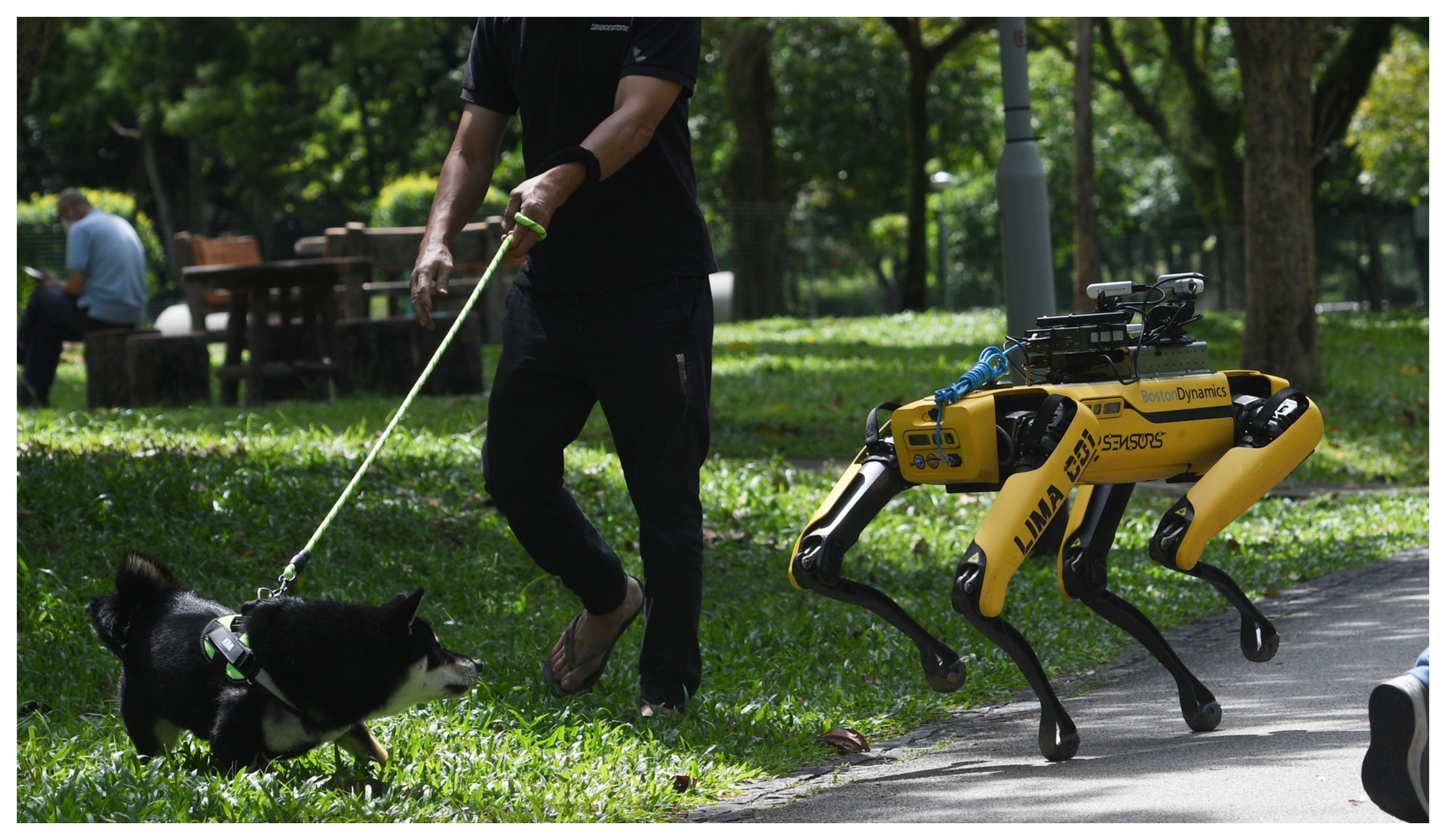 De la barmani la inspectori de șantier: Roboții din Singapore iau locul angajaților pentru a acoperi deficitul de forță de muncă