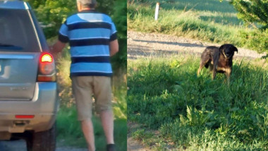 Un bărbat din Ilfov a fost amendat cu 12.000 lei după ce și-a abandonat câinele