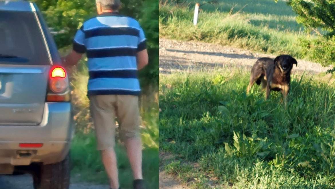 Un bărbat din Ilfov a fost amendat cu 12.000 lei după ce și-a abandonat câinele