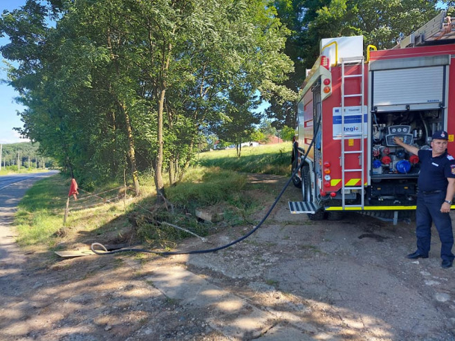 catei salvati hunedoara pompieri foto isu hunedoara 2