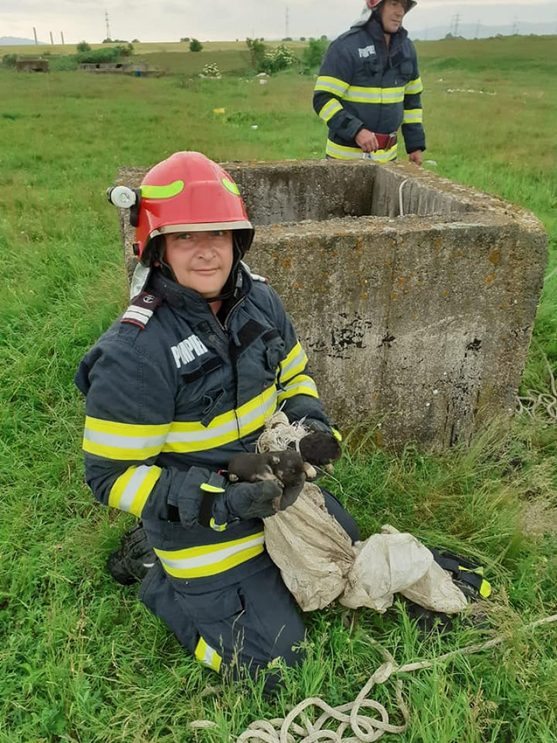 catei salvati hunedoara pompieri foto isu hunedoara 6