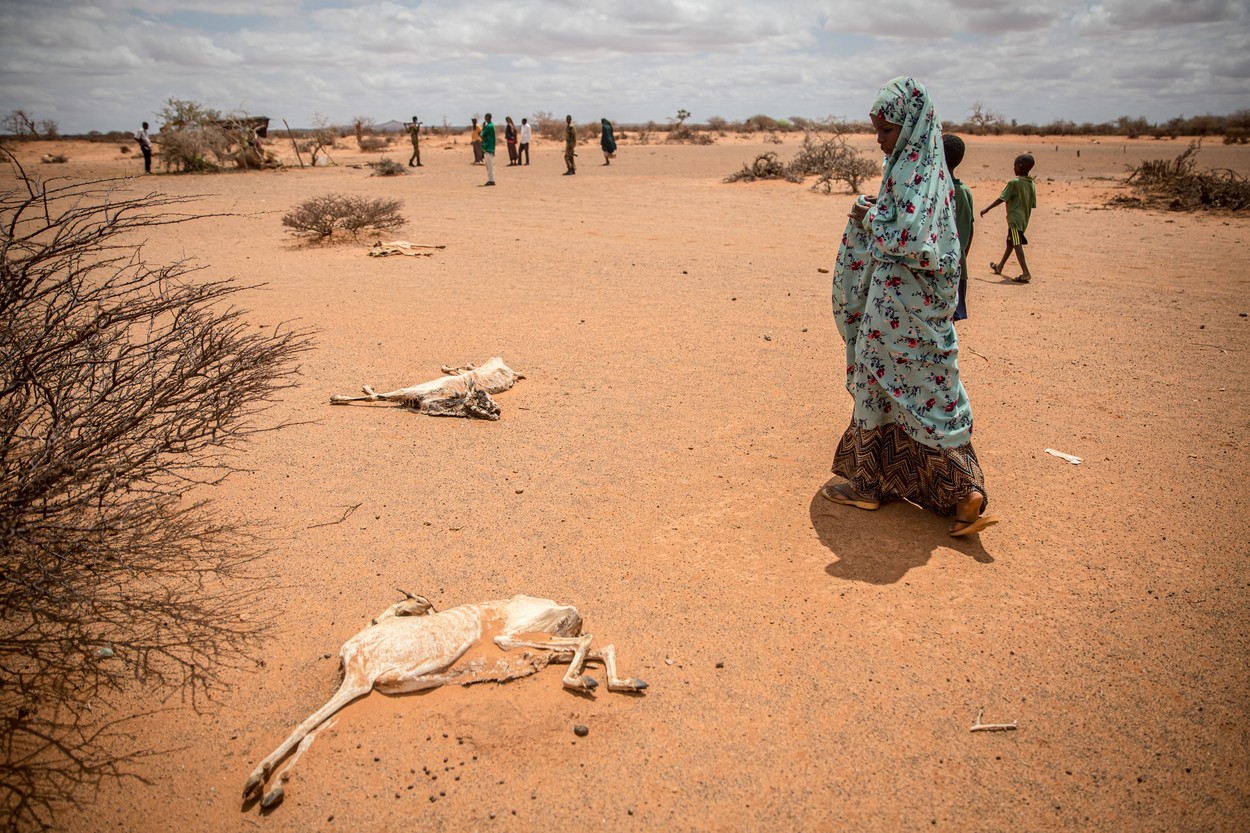 Somalia, din nou în pragul foametei. Avertismentul ONU: Sute de mii de oameni ar putea muri