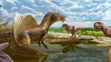 O echipă de cercetători din Egipt a descoperit fosila unui dinozaur carnivor care a trăit în urmă cu aproximativ 98 de milioane de ani .