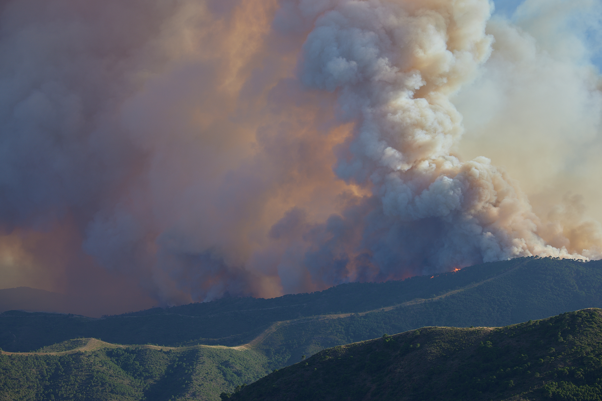 Incendiu puternic în sudul Spaniei. Focul avansează cu 30 de metri pe minut, 7.000 de oameni au fost evacuați