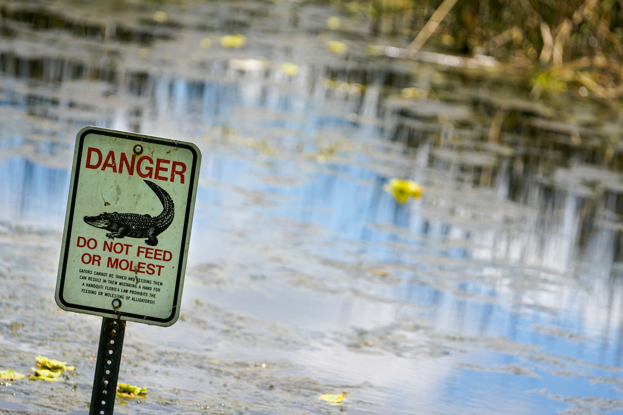 Un bărbat a fost ucis de un aligator în timp ce căuta un frisbee într-un lac