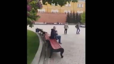 Un tânăr a cântat la acordeon, chiar lângă zidurile Kremlinului, piesa devenită simbolul rezistenței ucrainene.