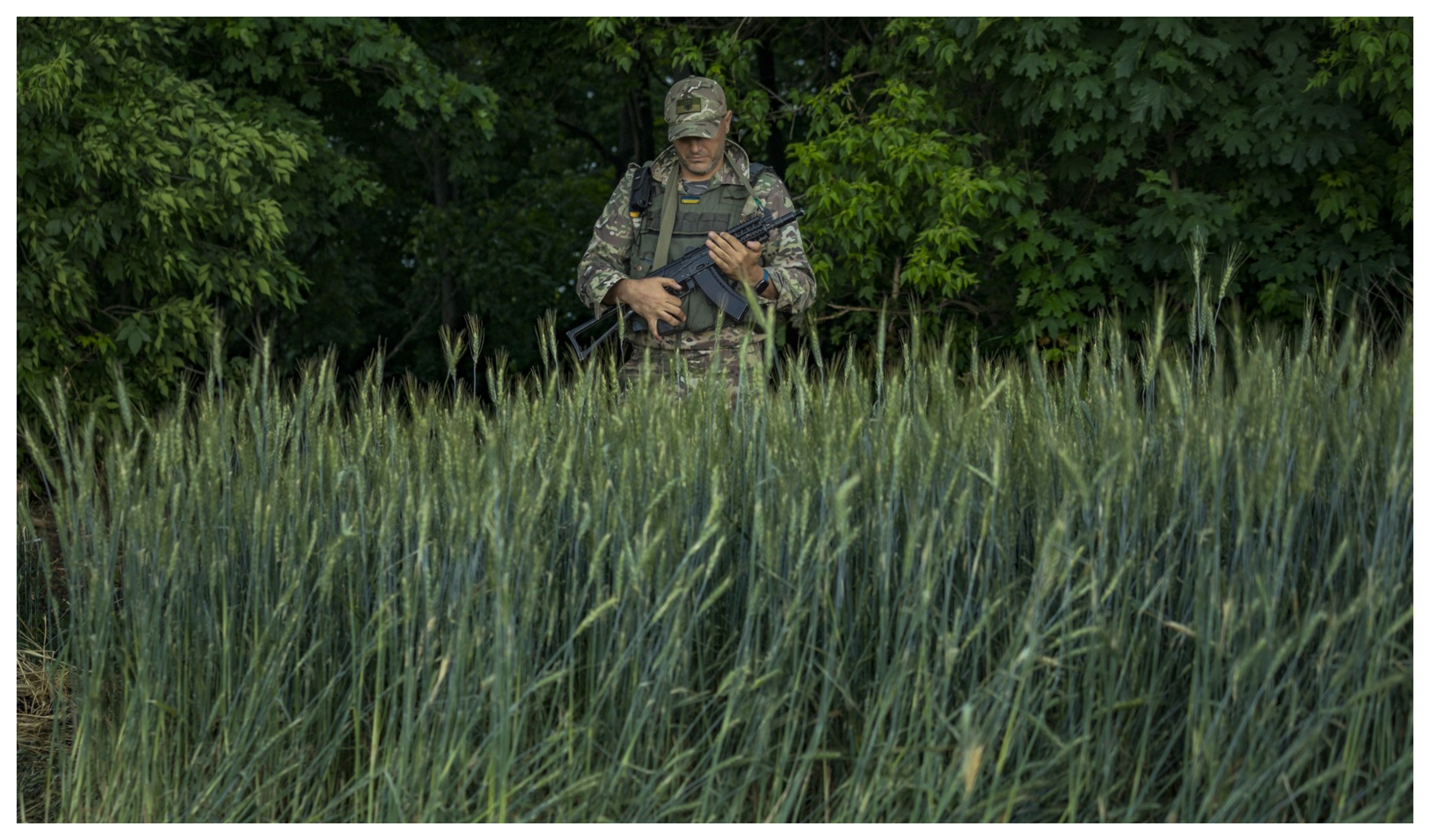 Războiul Rusiei va priva lumea de trei recolte de grâu din Ucraina. Ministrul agriculturii: „Vom cădea de pe piață mult timp”