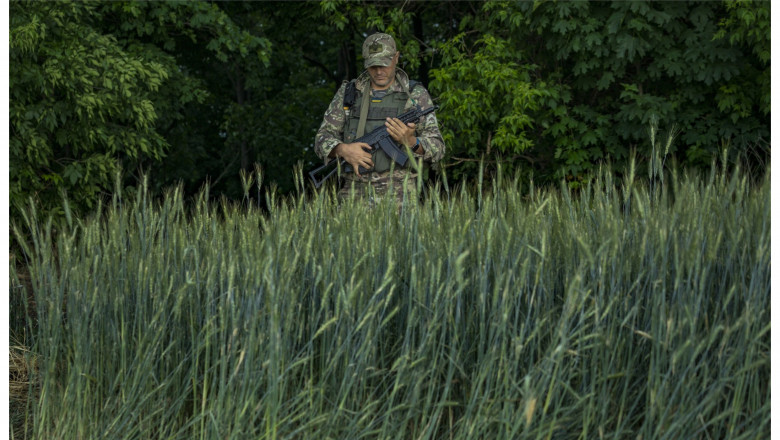 Câmp de grâu și un soldat ucrainean