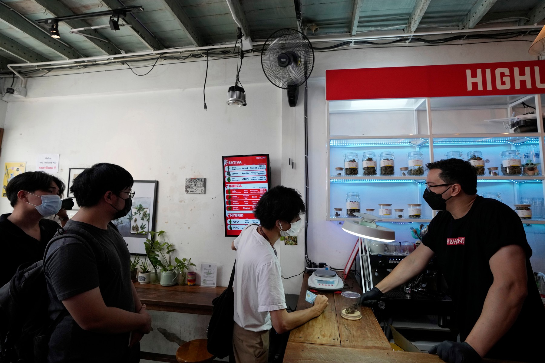 Turiștii și locuitorii din Bangkok stau la coadă să cumpere canabis, recent legalizat în Thailanda