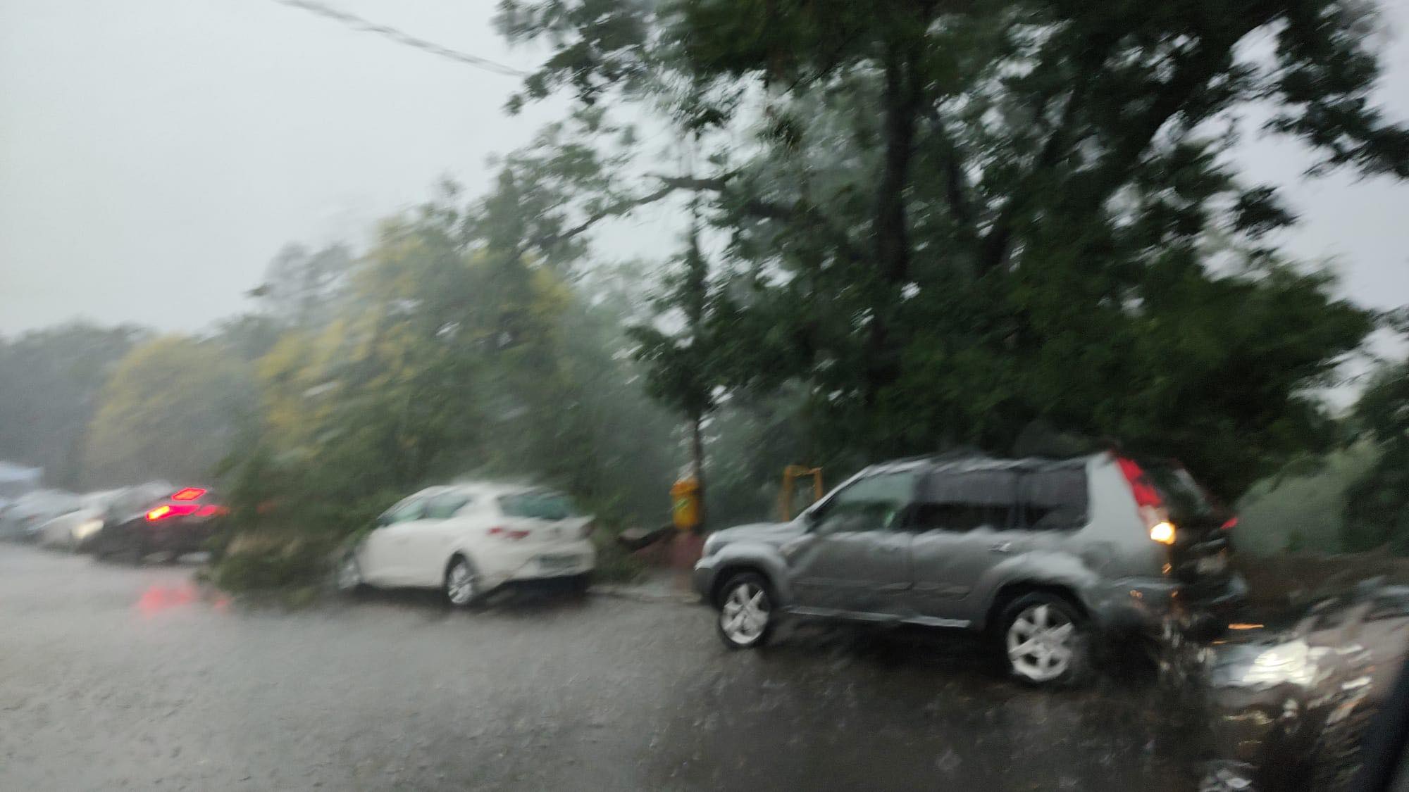 Cod roșu de furtună în București, Ilfov și Giurgiu. Au fost emise mesaje RO-ALERT