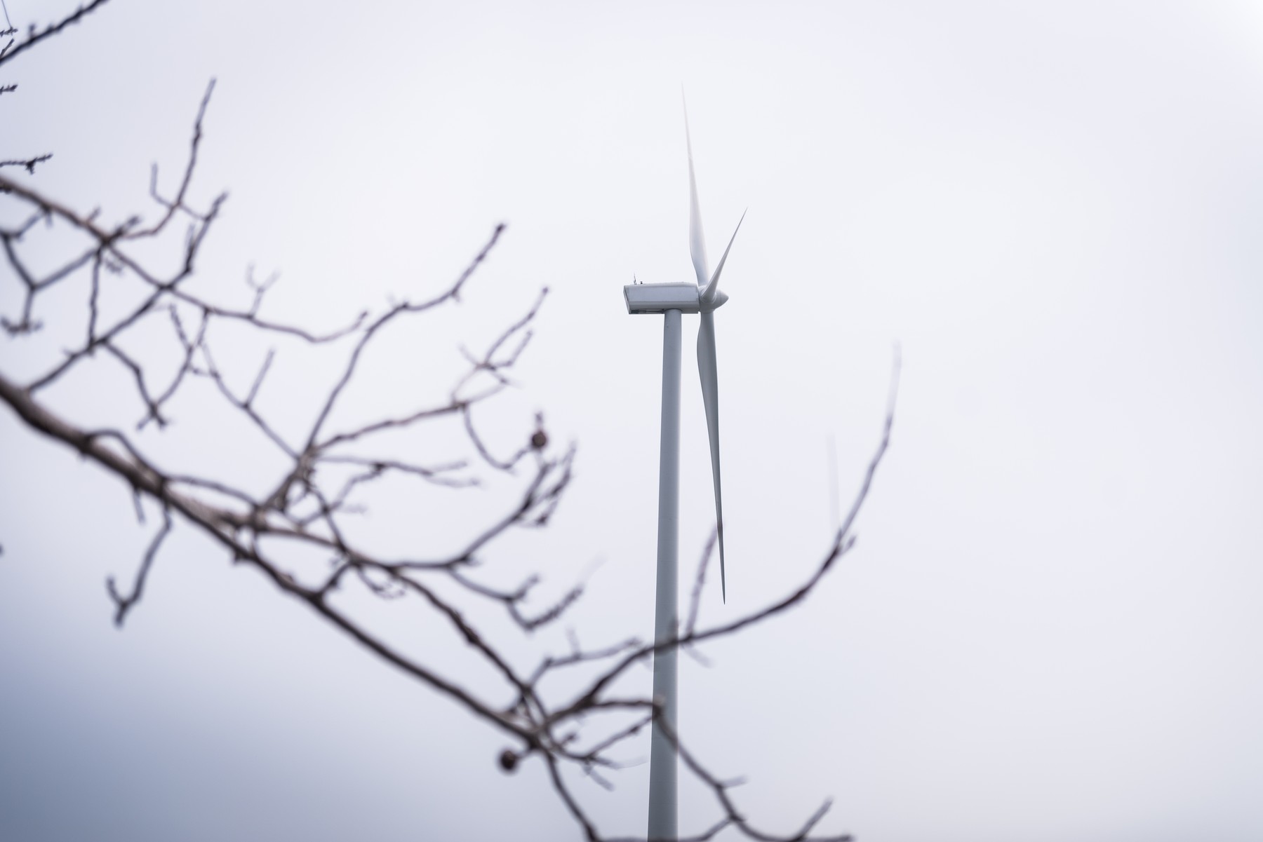 Ministerul Energiei lucrează la o lege pentru producţia de energie eoliană din offshore: Marea Neagră e o oportunitate
